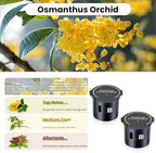 Smart Car Air Freshener Refill,2 Pack Refill For 4-6 Months,French Spice Made With Natural Plant Extracts,Refill Perfect for Intelligent Cloud Fragrance Machine. (Osmanthus Orchid)