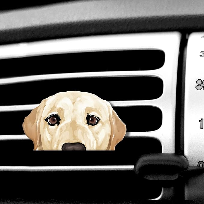 WIRESTER Fresh Scented Car Air Freshener Vent Clip, Decorative Accessories, Interior Decoration for Cars
