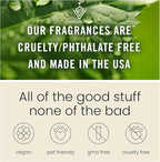 C Classy Car Air Freshener Hanging 2 Pack, Vanilla Amber Essential Oil Diffuser for Cars, Long-Lasting Fragrance, Cute Car Accessories, C ar Air Fresheners for Women & Men Gift, Made in USA