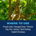 BioAdvanced Tree & Shrub Pruning Seal, Pressurized Spray Can, 13oz, Tree Pruning Sealer Spray