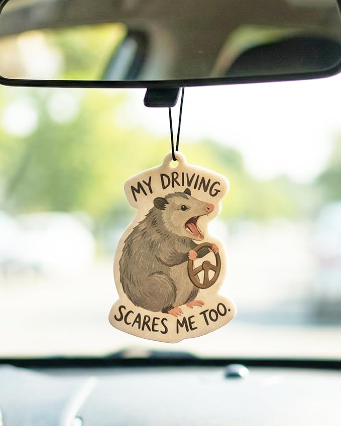 Car Air Freshener Funny Cute Humor 5pcs Raccoon Frog Capybara Car Accessories Automotive Interior Hanging Scents Mirror Decor for Women Teen Girls