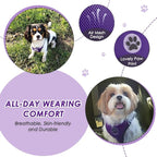 Lukovee Dog Seat Belt for Car, Adjustable Dog Car Harness for Large Medium Small Dogs, Soft Padded & Breathable Mesh Dog Seatbelt with Car Strap and Carabiner (Purple,M)