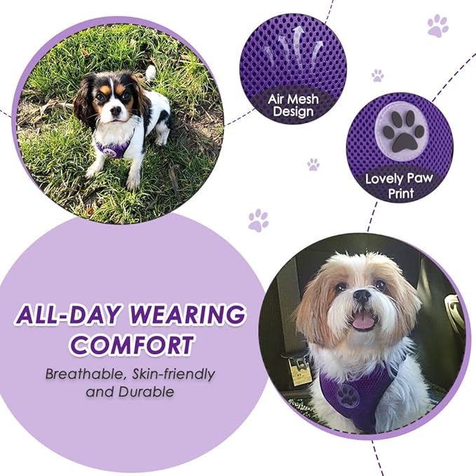 Lukovee Dog Seat Belt for Car, Adjustable Dog Car Harness for Large Medium Small Dogs, Soft Padded & Breathable Mesh Dog Seatbelt with Car Strap and Carabiner (Purple,XXS)