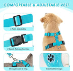 Lukovee Dog Seat Belt for Car, Adjustable Dog Car Harness for Large Medium Small Dogs, Soft Padded & Breathable Mesh Dog Seatbelt with Car Strap and Carabiner (Light Blue,S)