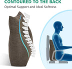Shinnwa Lumbar Support Pillow for Office Chair, Memory Foam Back Support Pillow for Back Pain Relief, Car, Chair and Couch, 15x17.5x4.5in, Brown