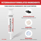 Activated Charcoal for Dogs & Cats (60 mL) | Emergency Pet First Aid for Accidental Ingestion & Digestive Support | Simple to Dose, Ready-to-Use | Chicken Flavored
