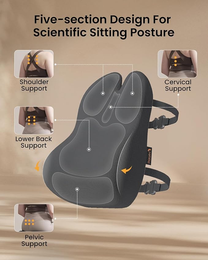 ProtoArc Lumbar Support Pillow for Office Chair, Memory Foam Back Support Pillow for Lower Back Fatigue Relief, Lumbar Pillow Desk Chair Back Cushion, Ergonomic Back Rest for Chair - Dark Gray