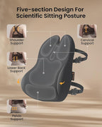 ProtoArc Lumbar Support Pillow for Office Chair, Memory Foam Back Support Pillow for Lower Back Fatigue Relief, Lumbar Pillow Desk Chair Back Cushion, Ergonomic Back Rest for Chair - Dark Gray