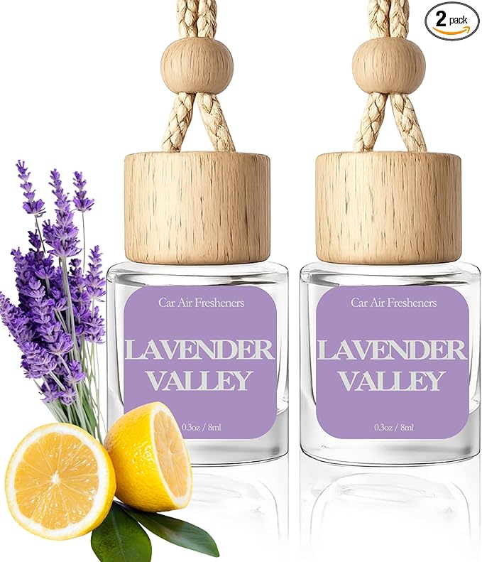 Car Air Freshener - Pack of 2 Hanging Car Air Diffuser - 0.27FL OZ/8ML Odor Eliminator - 60 Days Long Lasting Essential Oil Diffuser - Cars Accessories for Men & Women
