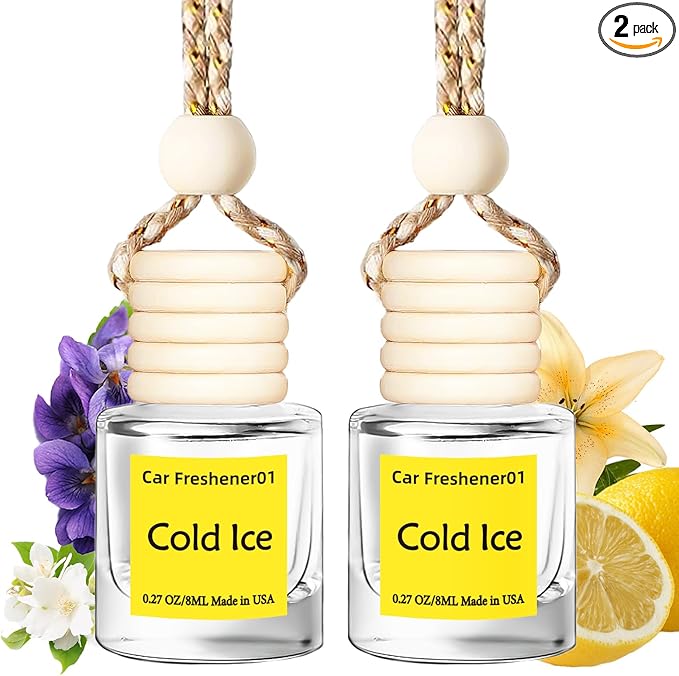 Hanging Car Air Freshener, Long Lasting Scent, Cute Air Fresheners for Women, 2 Pack Non-Toxic Essential Oil Diffuser, Made in USA