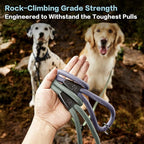 PawsPassion Rope Dog Leash 6 FT, 2-in-1 Heavy Duty Dog Leash with Seat Belt Buckle, Tangle Free 360ｰ Swivel Aviation Aluminum Carabiner, All Metal Hardware, Alloy O-Ring (Seabreeze)