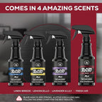 Blaze Away Commercial Air Freshener & Odor Eliminator for Strong Odor - Industrial-Grade Room Spray & Room Deodorizer for Home, Car, Smoke & Pet Odors - Long-Lasting Odor Absorber, Room Fresheners
