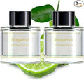 Smart Car Air Freshener Perfume Refill,3.38 fl oz (100ml), lasts 4-12 months, safe for pregnant women and babies (Bergamot-fresh, 2-Pack)