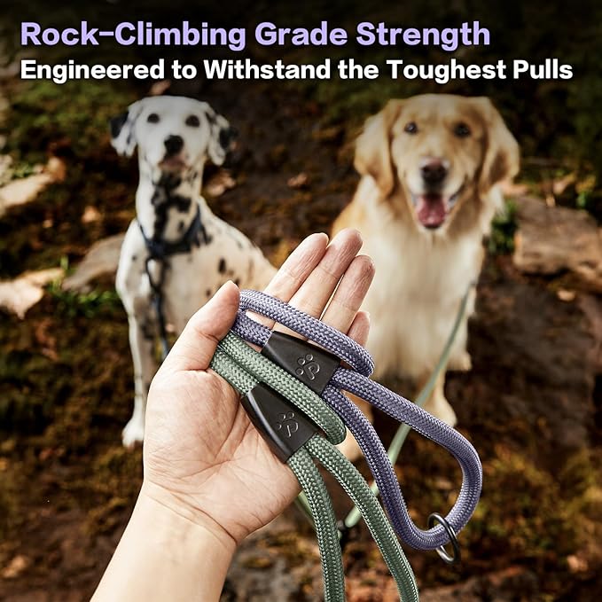 PawsPassion Rope Dog Leash 4 FT, 2-in-1 Heavy Duty Dog Leash with Seat Belt Buckle, Tangle Free 360ｰ Swivel Aviation Aluminum Carabiner, All Metal Hardware, Alloy O-Ring (Lilac Breeze)