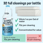 Sunny & Honey Carpet Cleaner Solution - Rug Shampoo & Upholstery Cleaning Solution - Pet Surface Odor Eliminator & Pet Stain Remover (32 fl oz, Fresh Summer Scent)
