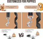 SlowTon Dog Seat Belt for Car, 2 Pack Dog Car Harness Seatbelt Adjustable with Elastic Bungee Buffer, 2 in 1 Pet Car Leash Headrest Restraint Dog Reflective Safety Tether (S, Black, Headrest+Clip)