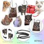 6Pcs Funny Car Air Freshener for Women Girls Men Cute Freshener Ornaments Cat Meme Funny Car Hanging Accessories