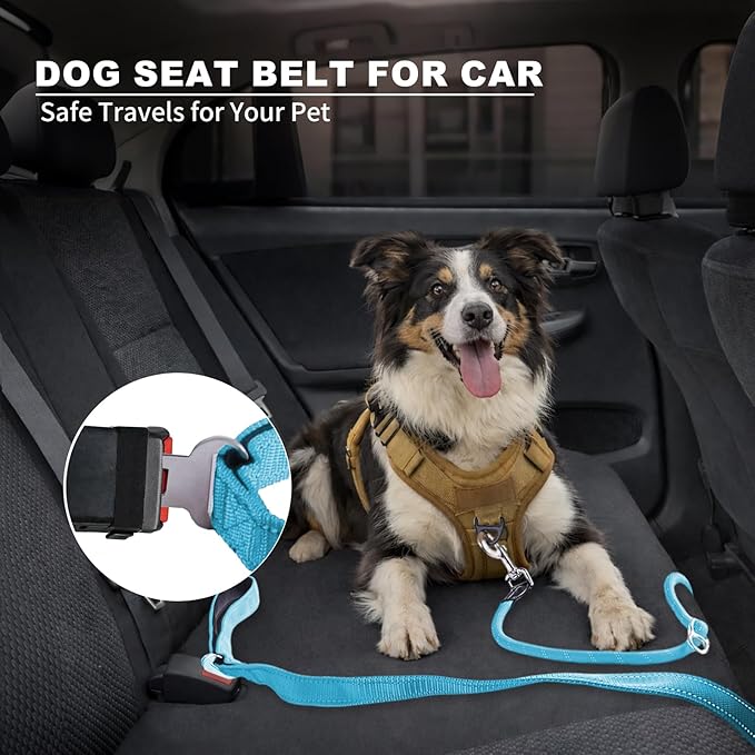 6FT Heavy Duty Dog Leash for Small Medium Large Dogs, Tangle Free Reflective Dog Training Leash with Double Handle, Seat Belt Buckle & Poop Bag Holder (Blue)