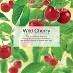 LITTLE TREES Car Air Freshener | Hanging Paper Tree for Home or Car | Wild Cherry | 4 Pack