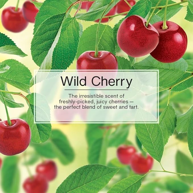 LITTLE TREES Car Air Freshener | Hanging Paper Tree for Home or Car | Wild Cherry | 24 Pack