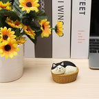 Miniature Cat Figurine kit Mini Resin Statue for Office Desk Black & White Cat Organizer for Nightstand Garden Fairy Accessories Deco Car Dashboard Gift for Cat Lovers
