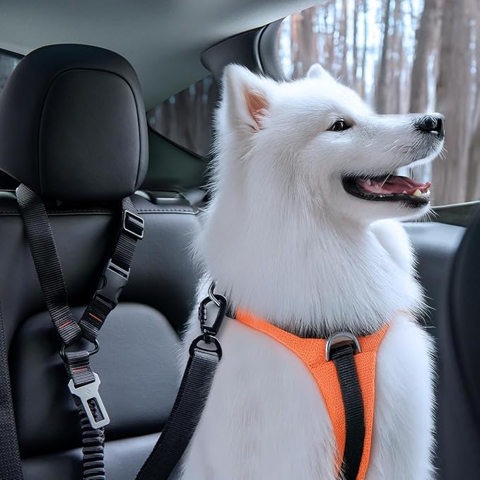 Spigen 2 in 1 Car Seat Belt Tether for Dogs (Headrest & Seatbelt Buckle) | High-Strength Heavy-Duty Strap | Adjustable Anti-Shock Bungee Leash