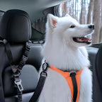 Spigen 2 in 1 Car Seat Belt Tether for Dogs (Headrest & Seatbelt Buckle) | High-Strength Heavy-Duty Strap | Adjustable Anti-Shock Bungee Leash