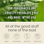 C Classy Car Air Freshener Hanging 2 Pack, Cute Essential Oil Diffuser for Cars, Long-Lasting Fragrance, Air Diffusers, Car Air Fresheners for Women & Men Gift, Made in USA