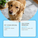 Pet Stain & Strong Odor Eliminator, Dog & Cat Pee Urine Destroyer for Carpet, Upholstery - Cleaner Spray for Pet Stain Remover, Urine, Poop, Pee, Deodorizer, Air Freshener in Home & Car - 5oz