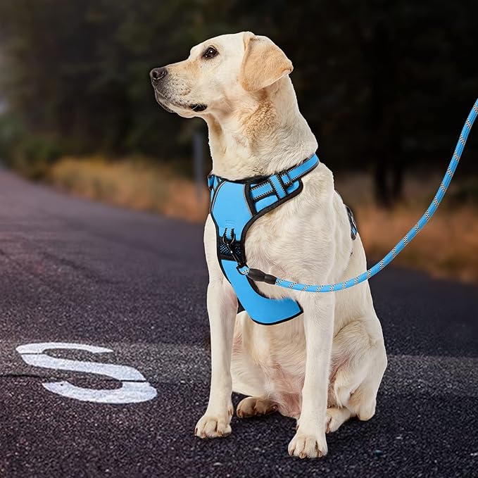 IVY&LANE No Pull Dog Harness for Small Dogs, Dog Vest Harness with Leash, Safety Belt and Storage Strap, Fully Adjustable Harness, 360° Reflective Strip, Soft Handle (Blue, XS)