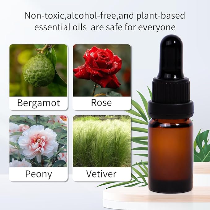 Rechargeable Car Air Freshener & Aromatherapy Diffuser with 1 Bottle Essential Oil, 2 Mode Adjustable, Long Lasting Car Diffuser Waterless for Vehicle, Home, Room