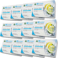 Auto Dynasty Pack of 12 TreeFrog Xtreme Fresh Under-The-Car Natural Air Freshener (Marine Squash Scented)