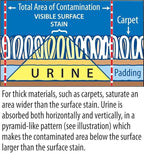 Instantly Cat Urine Odor Remover & Eliminator Cleaning Solution, Oxidizer Based Pee Cleaner Solution & Deodorizer for Carpets, Outdoor Rugs, Rugs, Mattress, etc. 2-128 oz Gallons