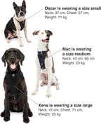 Kurgo Enhanced Strength Tru-Fit Dog Car Harness - Pet Travel Safety Harness - Crash Test Certified Fit - Five Point Adjustment - Secure Buckle - Padded Chest - Black - Medium