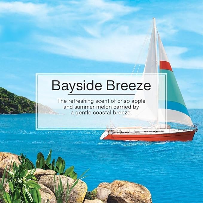 LITTLE TREES Car Freshener C15-U2P20621 Little Trees Bayside Breeze Scent - Pack of 2