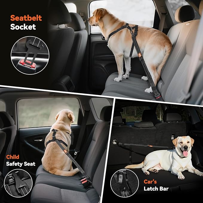 2Pcs Dog Seat Belt, Dog Car Seat Belt Bungee, Car Harness for Pet with Buckle & Hook Latch, Safety Leash Vehicle, Adjustable Reflective Pet Vehicle Tether, 360° Swivel Lock Clasp, Black