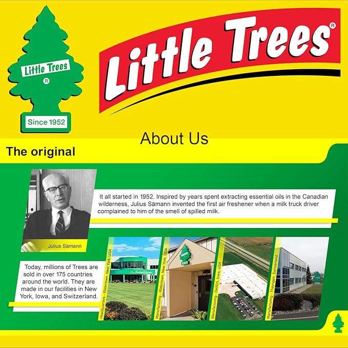 LITTLE TREES Car Air Freshener | Hanging Paper Tree for Home or Car | Royal Pine | 12 Pack