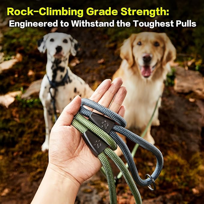 PawsPassion Rope Dog Leash 6 FT, 2-in-1 Heavy Duty Dog Leash with Seat Belt Buckle, Tangle Free 360ｰ Swivel Aviation Aluminum Carabiner, All Metal Hardware, Alloy O-Ring (Evergreen)