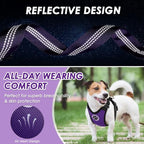 Lukovee Dog Seat Belt for Car, Adjustable Dog Car Harness for Large Medium Small Dogs, Soft Padded & Breathable Mesh Dog Seatbelt with Car Strap and Carabiner (Purple,XXS)