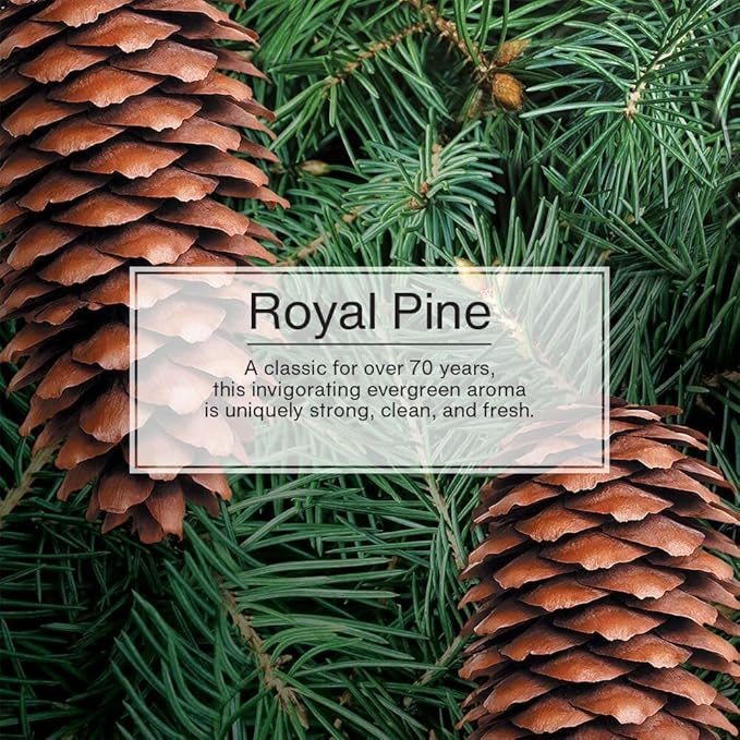 Little Trees U6P-60101 Air Freshner (Royal Pine Pk6)