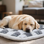 Dog Car Seat Cover for Back Seat, Plaid Backseat Pet Bed Mat, Non-Slip Travel Dog Bed for Backseat Extenders, 24.8" x 54", Grey and White