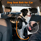 PetBonus Dog Seat Belt for Car, Durable Rope Dog Car Harness Seatbelt for Vehicle, Pet Tether Safety Restraint with Heavy Duty Buckle Hook Latch Lockable Clip for Small Medium Large Breeds (Orange)