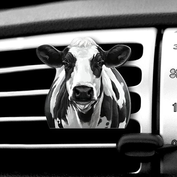 WIRESTER Fresh Scented Car Air Freshener Vent Clip, Decorative Accessories, Interior Decoration for Cars