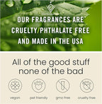 C Classy Car Air Freshener Hanging 2 Pack, Air Fresheners, Hotel Scent Diffuser Oil for Cars, Long-Lasting Fragrance, Cute Car Accessories, C ar Freshener for Women & Men Gift, Made in USA