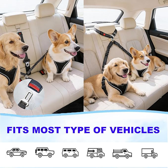 Double Dog Seat Belt for Car, Adjustable Headrest Restraint Safety Seatbelt with Reflective Bungee & Tangle-Free Swivel, No-Pull Split Leash for Vehicle Travel & Walking 2 Dogs, Black