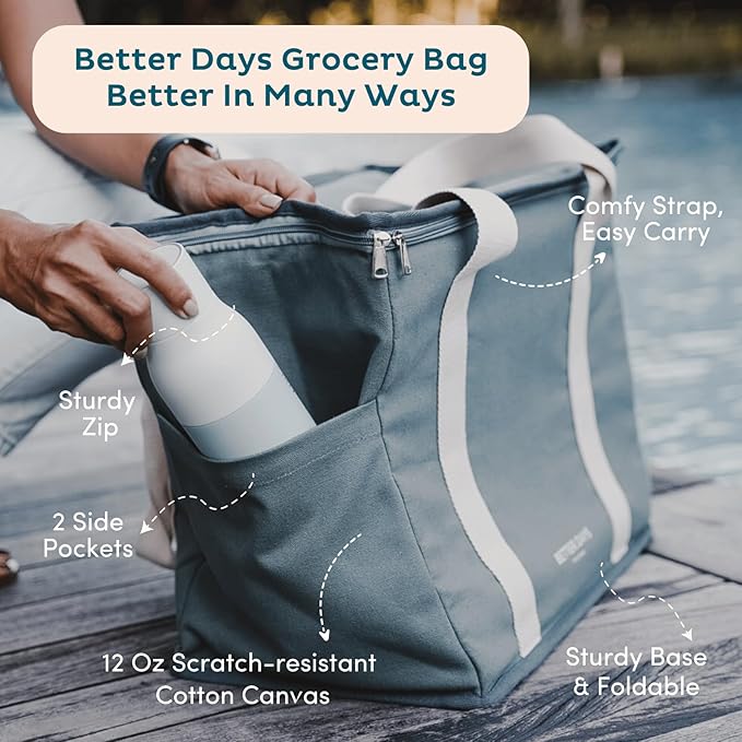 Nook Theory Reusable Insulated Grocery Bag - Leak Proof, X Large Cooler Bag - Insulated Shopping Bags for Groceries - Travel Cooler Bag for Frozen and Hot Food with Zippered Top (Full Sage)
