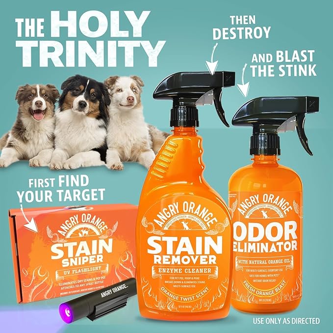 ANGRY ORANGE Pet Odor Eliminator Kit for Dog/Cat Urine - Citrus - 24 oz + UV Flashlight