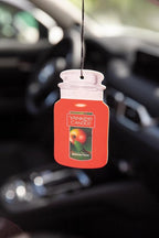 Yankee Candle Paper Car Jar, Macintosh (Pack of 3)