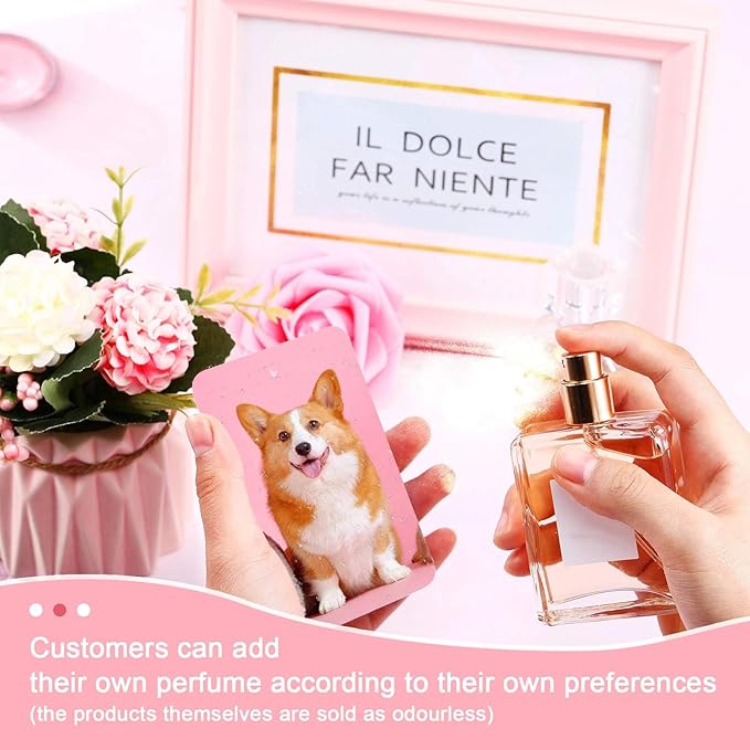 Zonon 120 Pieces Sublimation Air Freshener Blanks DIY Air Freshener Sheets Blank Car Pressed Felt Polyester Laser Cut Blanks for Car Travel Heat Press Ornaments with Elastic Cord, 5 Styles