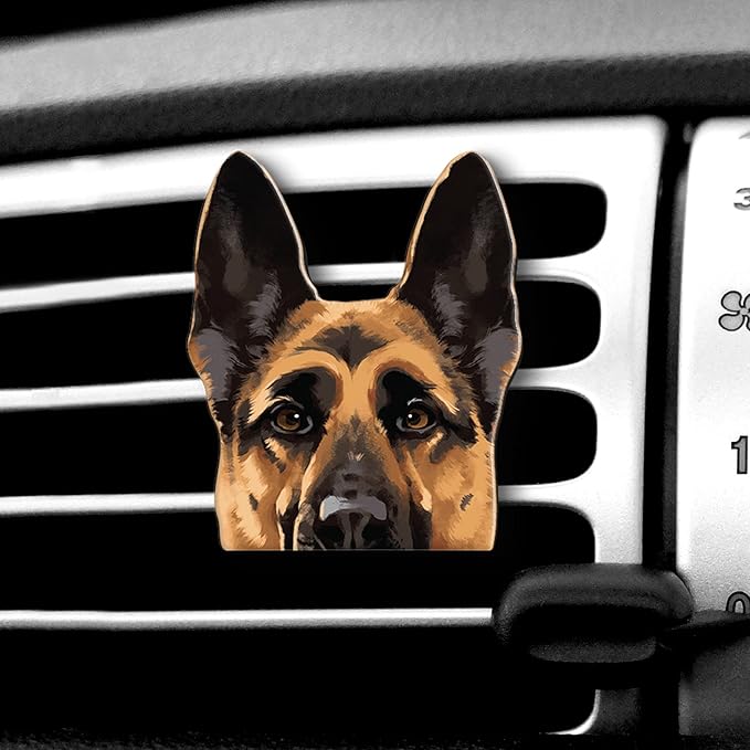 WIRESTER Fresh Scented Car Air Freshener Vent Clip, Decorative Accessories, Interior Decoration for Cars